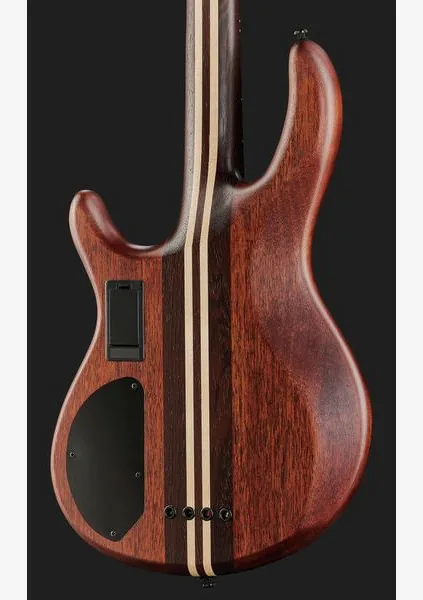Cort A4 Ultra Ash, foto 5