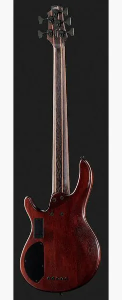 Cort B5 Element Open Pore Natural, foto 3