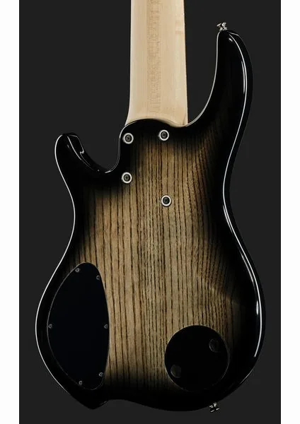 Dingwall CB3 Combustion 6 Black BR PF, foto 5