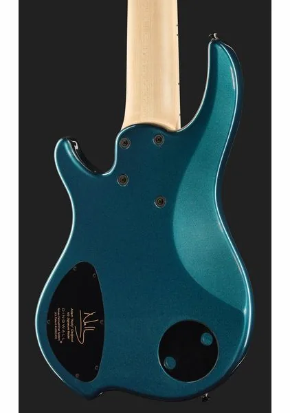 Dingwall NG3 Nolly Sig.6 Forest Custom, foto 5