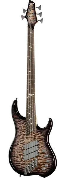 Dingwall Z Custom Shop FBB