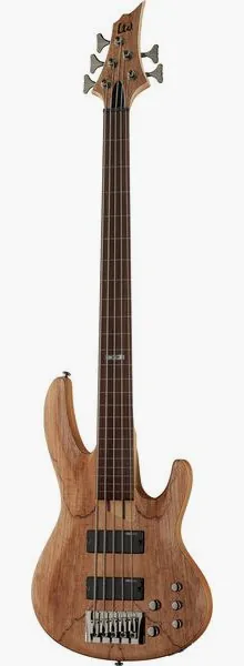 ESP LTD B205SM FL fretless