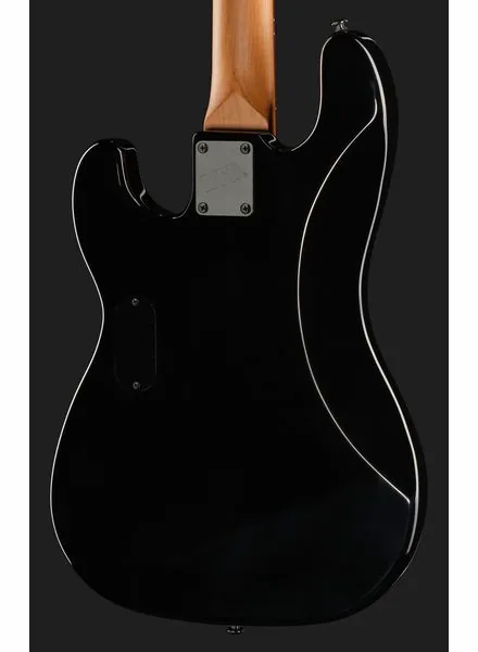 ESP LTD Surveyor-204DX BB, foto 5