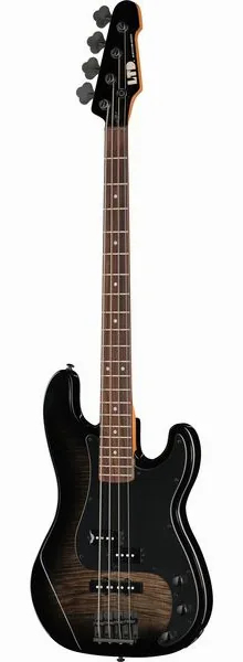 ESP LTD Surveyor-204DX BB