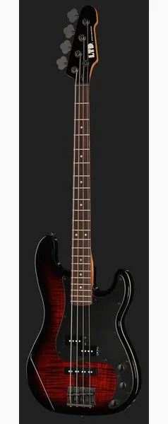 ESP LTD Surveyor-204DX RB, foto 2