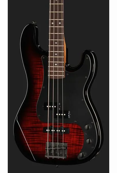 ESP LTD Surveyor-204DX RB, foto 4