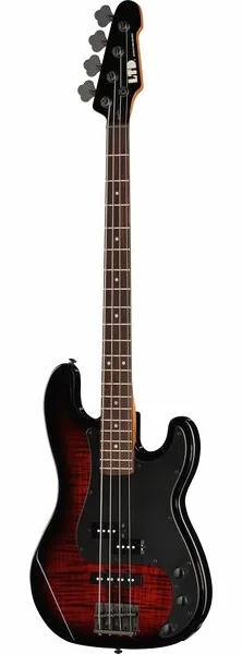ESP LTD Surveyor-204DX RB