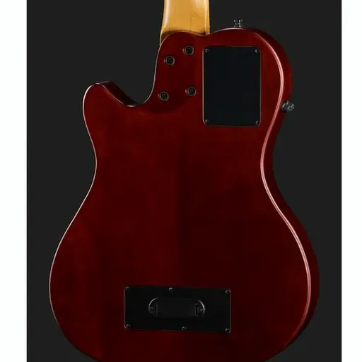 Godin A5 Bass Ultra Fretless Natural – foto 5