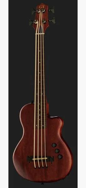 Gold Tone ME-BASS/Fretless, foto 2