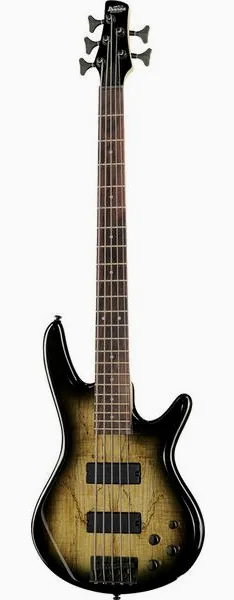Ibanez GSR205SM-NGT