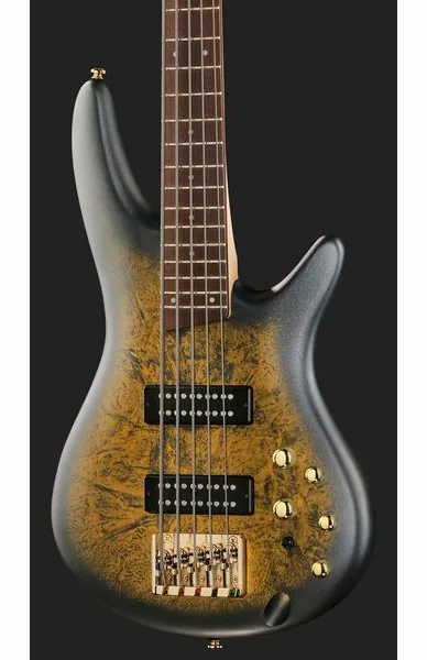 Ibanez SR305EDX-FDM, foto 4