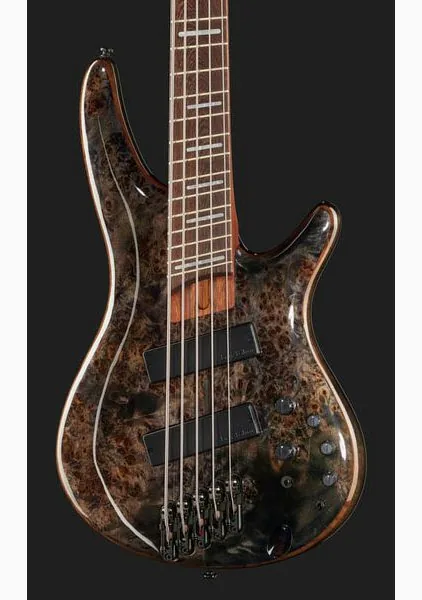 Ibanez SRMS805 Workshop, foto 4
