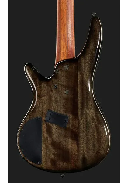 Ibanez SRMS805 Workshop, foto 5