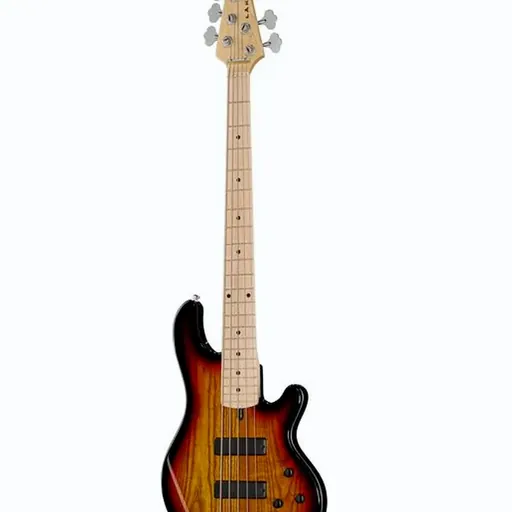 Lakland Skyline 55-01 5-String 3TSB