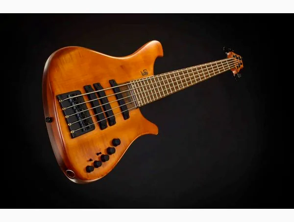 Le Fay Singer 5 Gold, foto 2