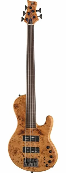 Marcus Miller F10-5 NT FL