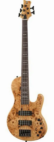Marcus Miller F10-5 NT