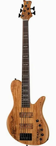 Marcus Miller F10 Dx 5 NT