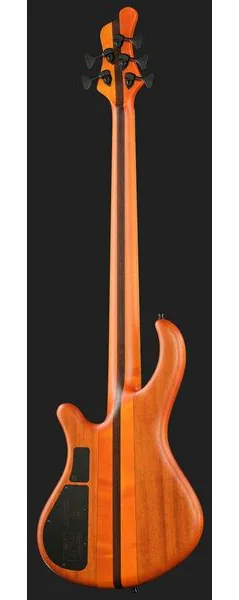 Mayones Guitars Patriot 5 Custom TOM, foto 3