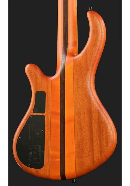Mayones Guitars Patriot 5 Custom TOM, foto 5