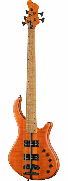 Mayones Guitars Patriot 5 Custom TOM