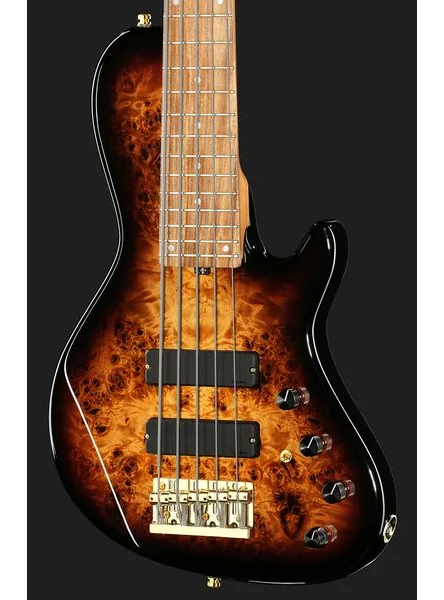 Sadowsky Custom Shop 24-5 Poplar 59Brst, foto 4