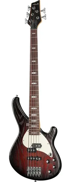 Sandberg Custom 5 Yolanda Charles Sig