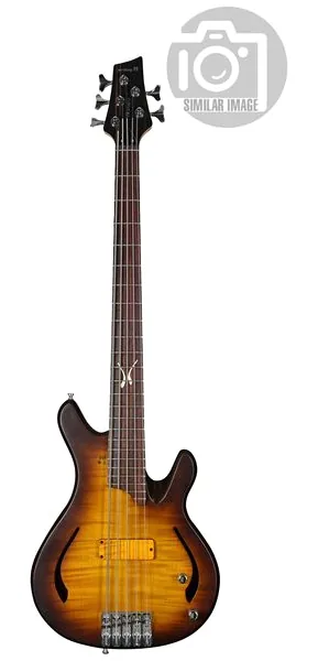 Sandberg Florence Nova 40th Anniv TB 4