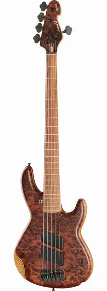 Sandberg Panther Special 5 Thuya