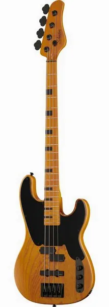 Schecter Model-T Session-4 ANS