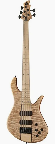 Torillo Volta 5 Quilted Maple