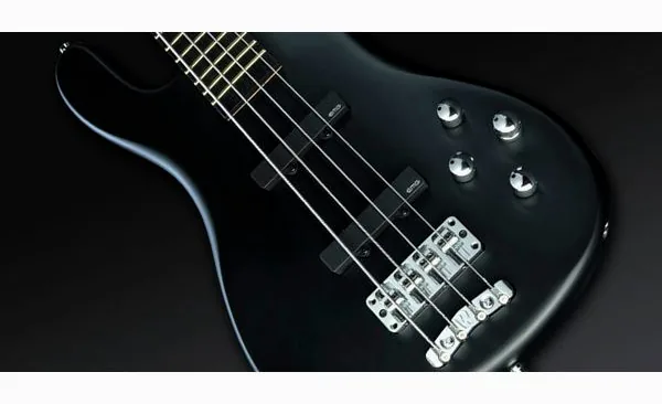 Warwick Artist Line Robert Trujillo 4, foto 4