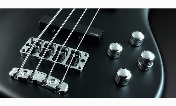 Warwick Artist Line Robert Trujillo 4, foto 5
